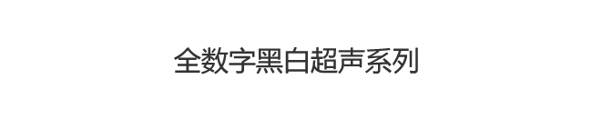 是非超声诊断系统