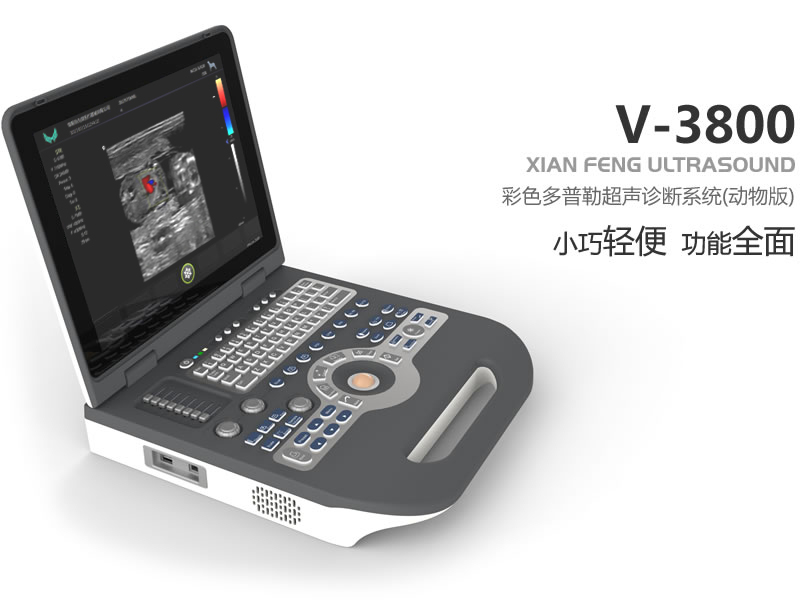2020010858416641 彩色多普勒动物超声诊断系统