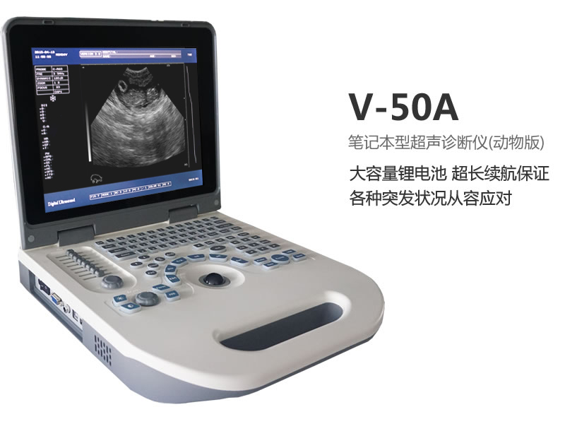 2020010956739781 全数字笔记本式动物超声诊断仪
