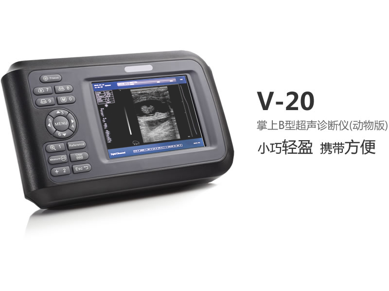 掌上B型超声诊断仪(动物版)